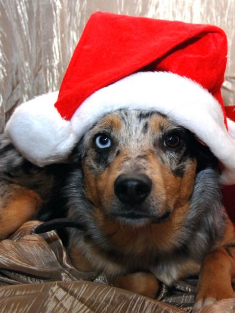 6-filson-christmas