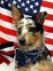 5-patriotic-filson