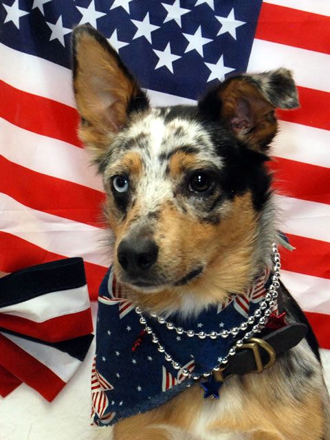 5-patriotic-filson